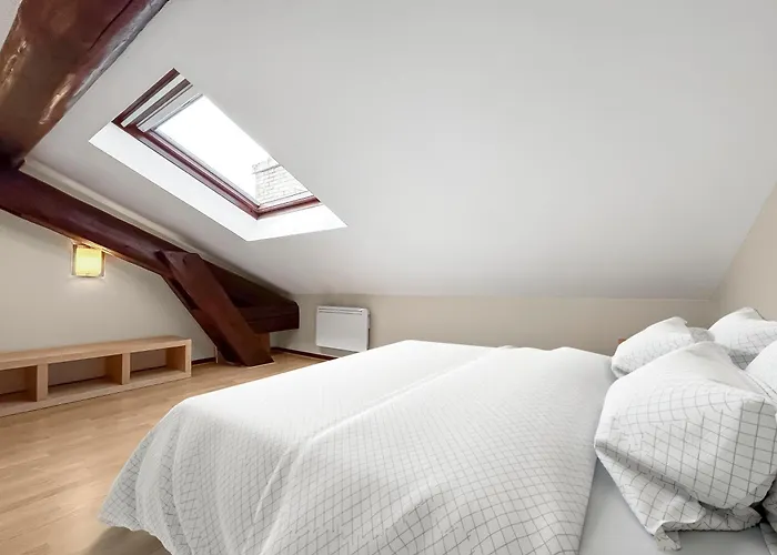 Le Duplex Stanislas, Calme & Cosy * Nancy